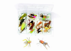 Rainy's Signature Hopper Assortment (18 Pack)
