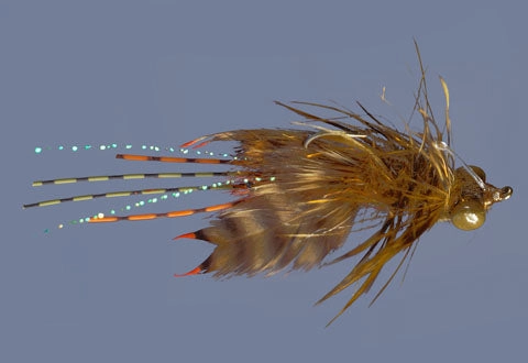 Rainy's Whitlock's NearNuff Crayfish