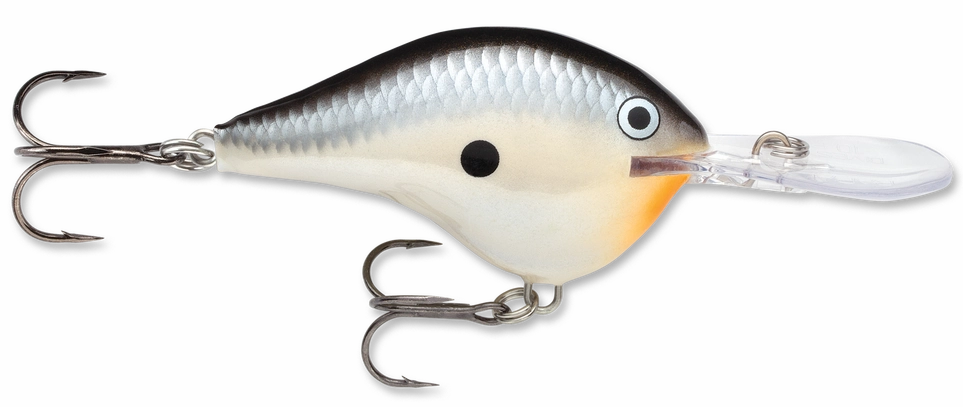 Rapala DT Series Crankbait DT10
