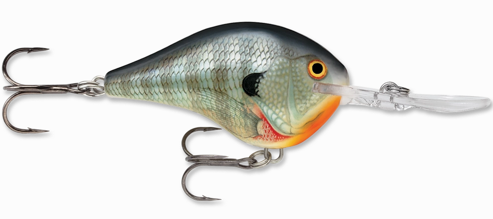 Rapala DT Series Crankbait DT10