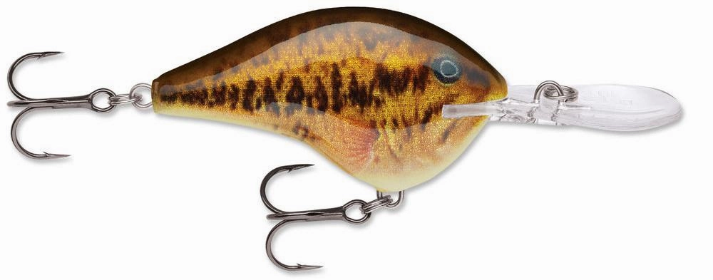 Rapala DT Series Crankbait DT14