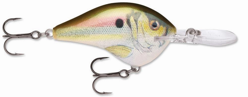 Rapala DT Series Crankbait DT14