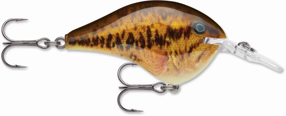 Rapala DT Series Crankbait DT6