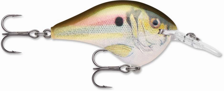 Rapala DT Series Crankbait DT6
