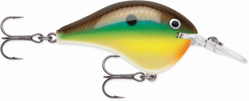 Rapala DT Series Crankbait DT6