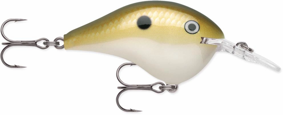 Rapala DT Series Crankbait DT6