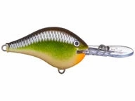 Rapala DT Series Crankbaits DT-4