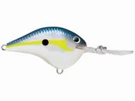Rapala DT Series Crankbaits DT-4