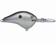 Rapala DT Series Crankbaits DT-6