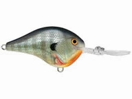 Rapala DT Series Crankbaits DT-6