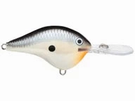 Rapala DT Series Crankbaits DT-8