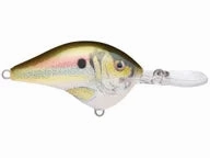 Rapala DT Series Crankbaits DT-8
