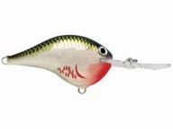 Rapala DT Series Crankbaits DT-8