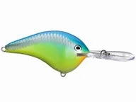 Rapala DT Series Crankbaits DT-8