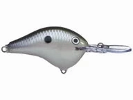 Rapala DT Series Crankbaits DT-8