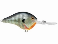 Rapala DT Series Crankbaits DT-8