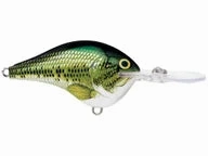Rapala DT Series Crankbaits DT-8