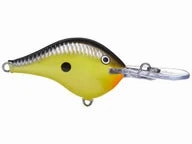 Rapala DT Series Crankbaits DT-8
