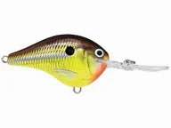 Rapala DT Series Crankbaits DT-8