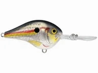 Rapala DT Series Crankbaits DT-8