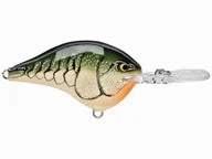 Rapala DT Series Crankbaits DT-8