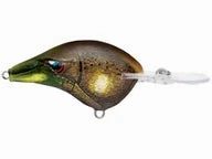 Rapala DT Series Crankbaits DT-8