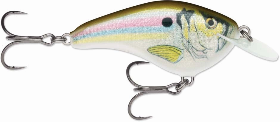 Rapala OG Slim 06 Medium Diving Flat-Sided Crankbait