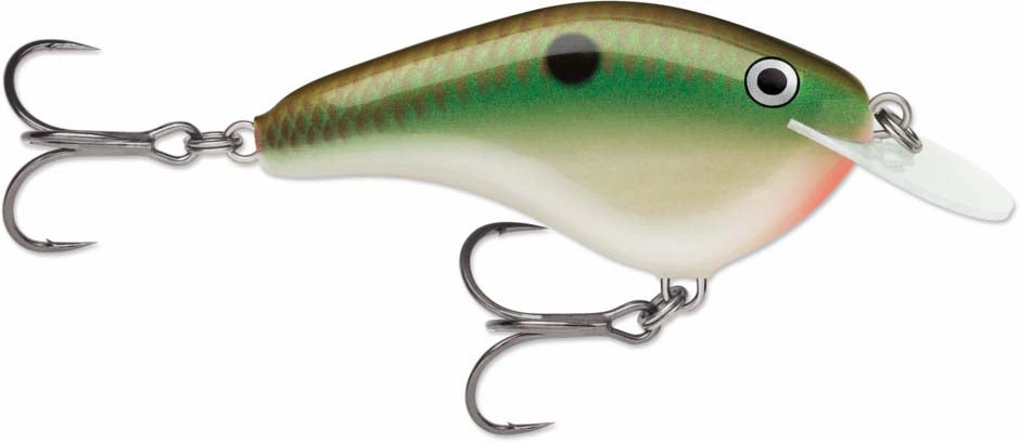 Rapala OG Slim 06 Medium Diving Flat-Sided Crankbait