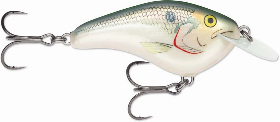 Rapala OG Slim 06 Medium Diving Flat-Sided Crankbait