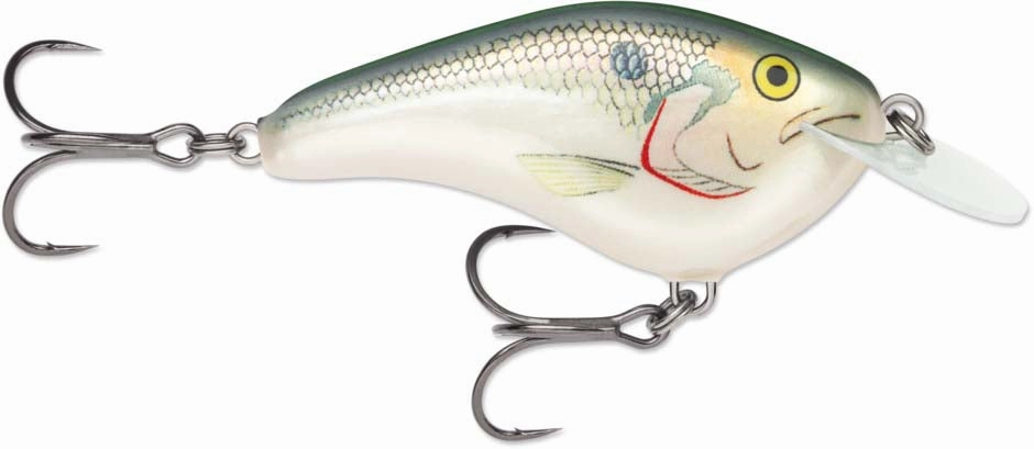 Rapala OG Slim 06 Medium Diving Flat-Sided Crankbait