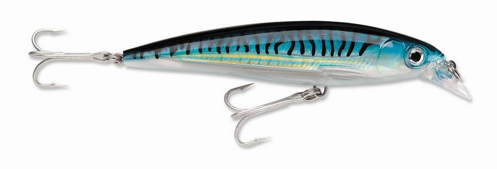 Rapala SXR-14 X-Rap Saltwater Rip Bait - 5.5 Inch