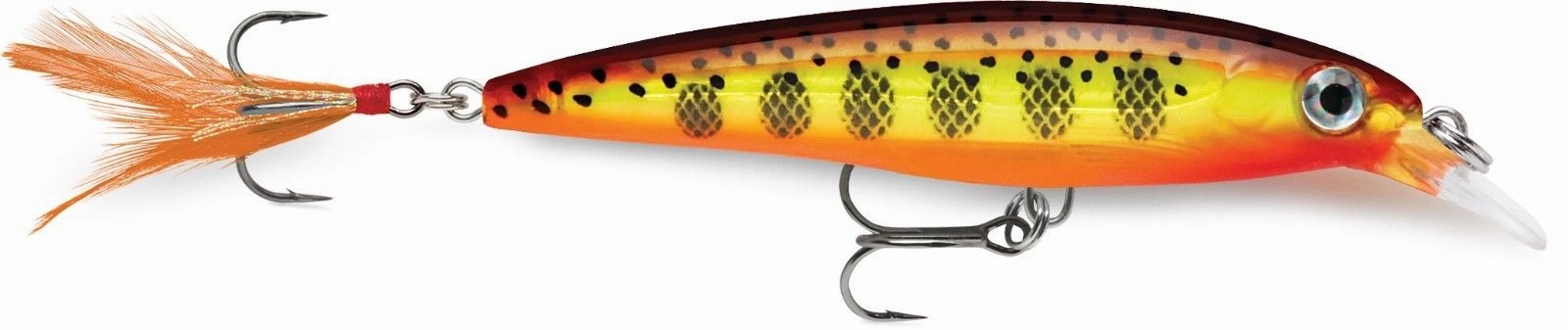 Rapala XR-06 X-Rap Shallow Diving Jerkbait - 2.5 Inch
