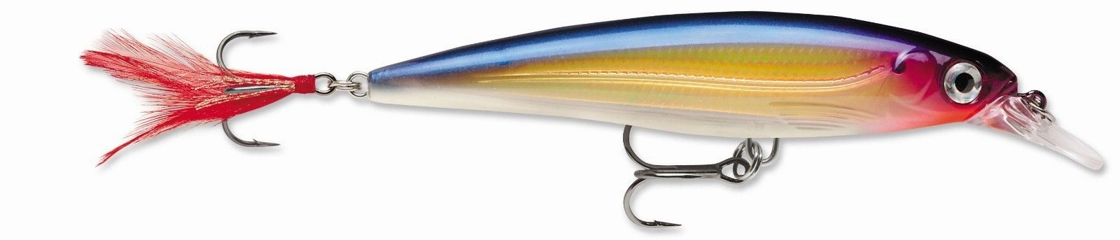 Rapala XR-06 X-Rap Shallow Diving Jerkbait - 2.5 Inch