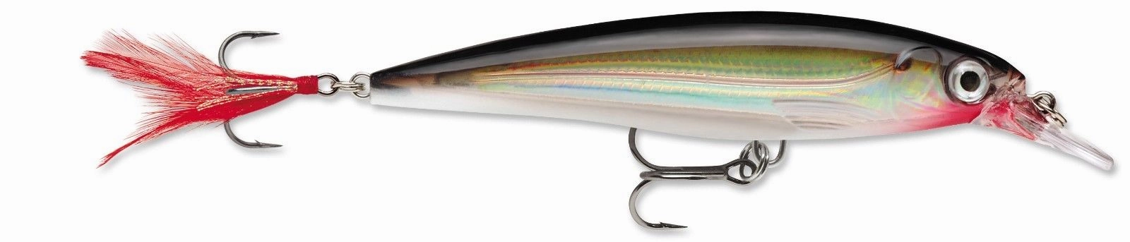 Rapala XR-06 X-Rap Shallow Diving Jerkbait - 2.5 Inch