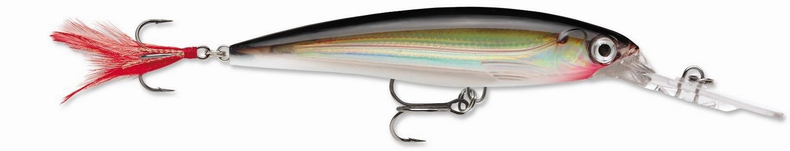 Rapala XR-10 X-Rap Deep Diving Jerkbait - 4 Inch