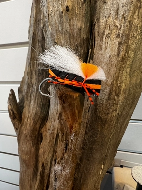 RF Brood Cicada