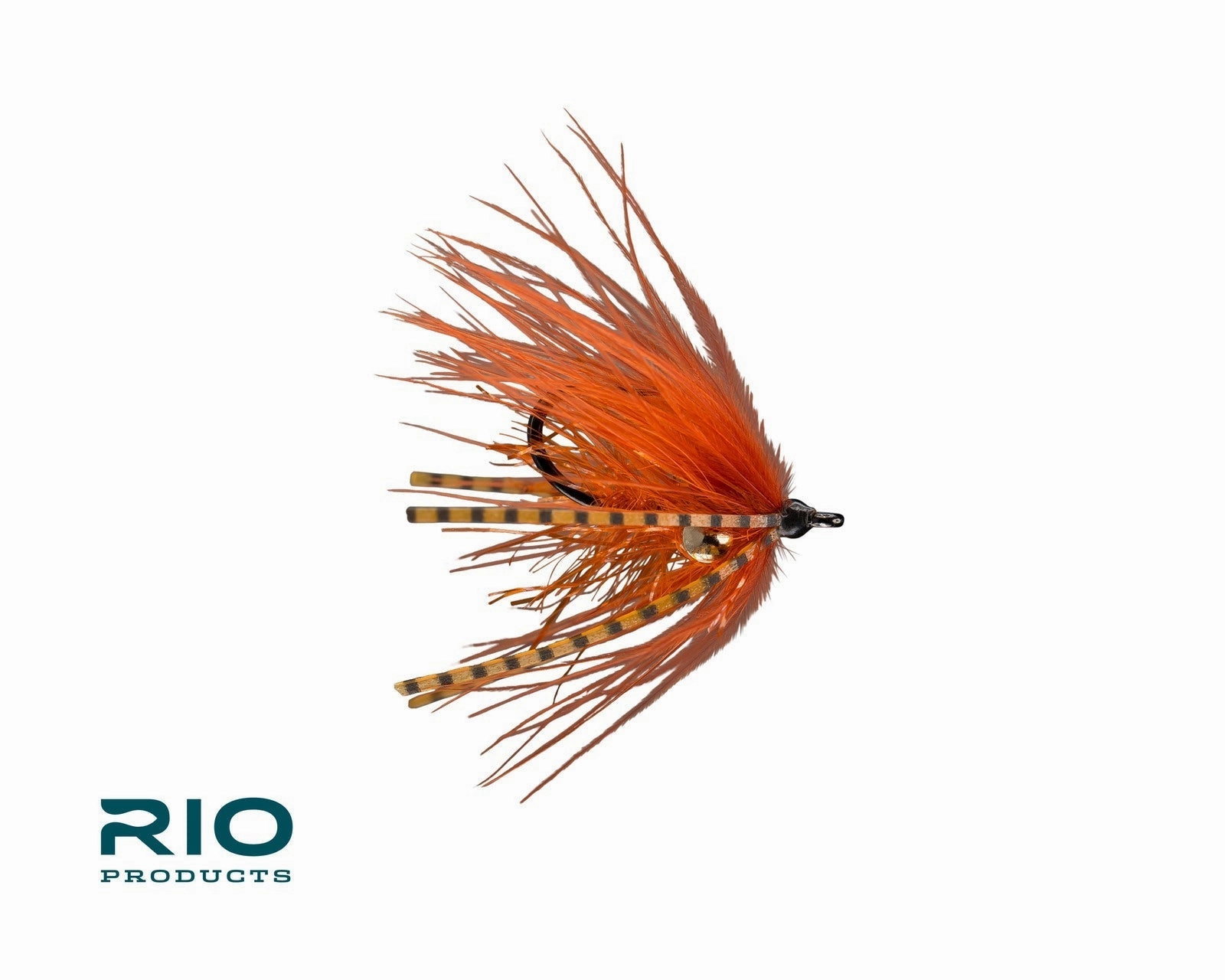RIO Carpdashian