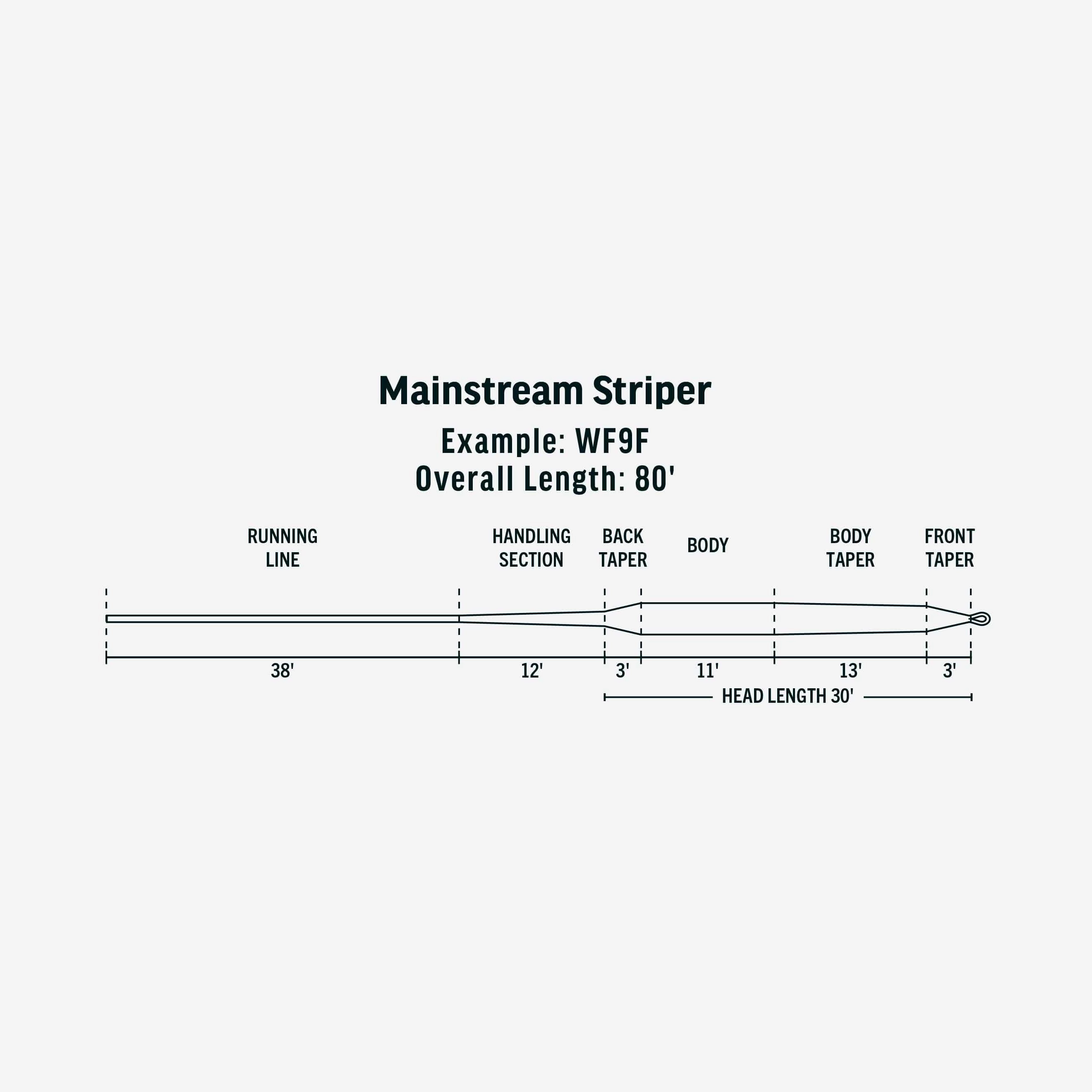 RIO Coldwater Maintstream Striper Fly Line