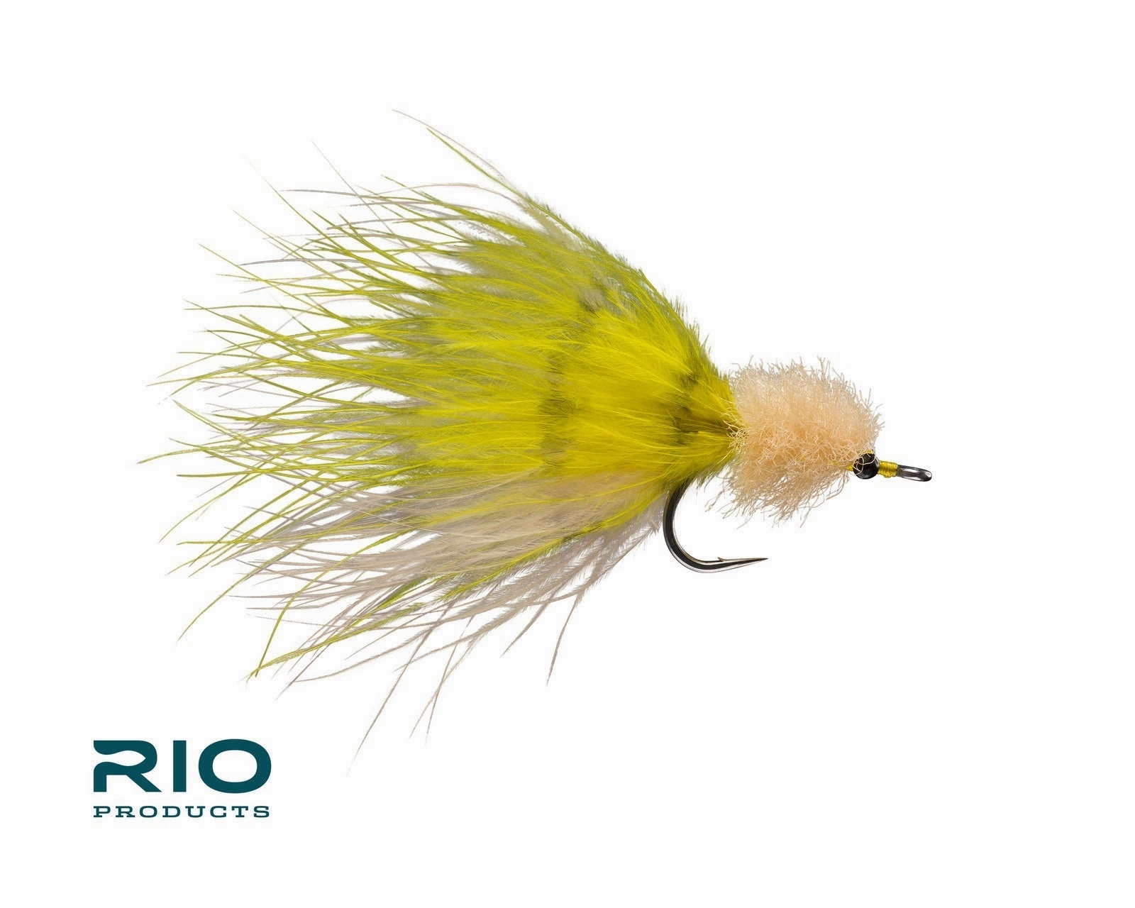 Rio Marabou Toad