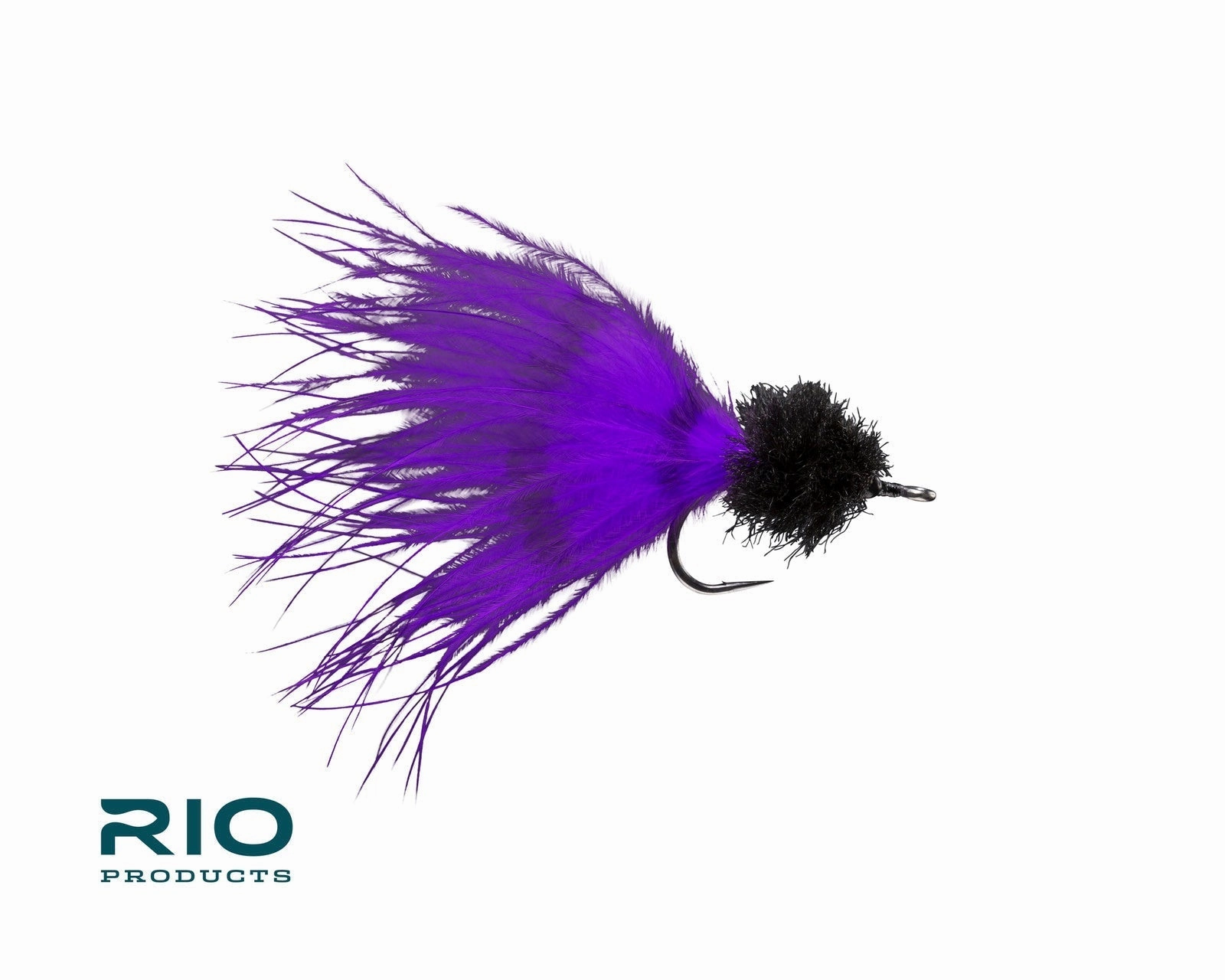 Rio Marabou Toad