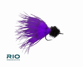 Rio Marabou Toad