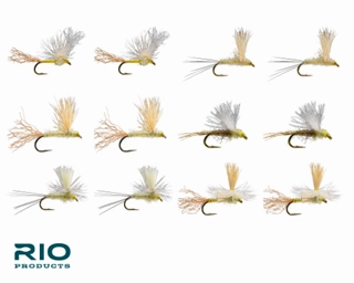Rio PMD Dry Assortment