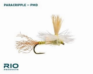 Rio PMD Dry Assortment