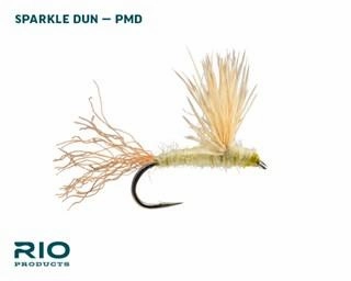 Rio PMD Dry Assortment