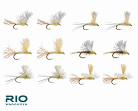 Rio PMD Dry Assortment