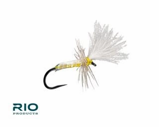 Rio Slick Midge Adult