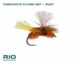 Rio Terrestrial Assortment