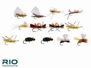Rio Terrestrial Assortment