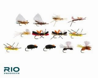 Rio Terrestrial Assortment
