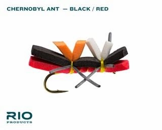Rio Terrestrial Assortment